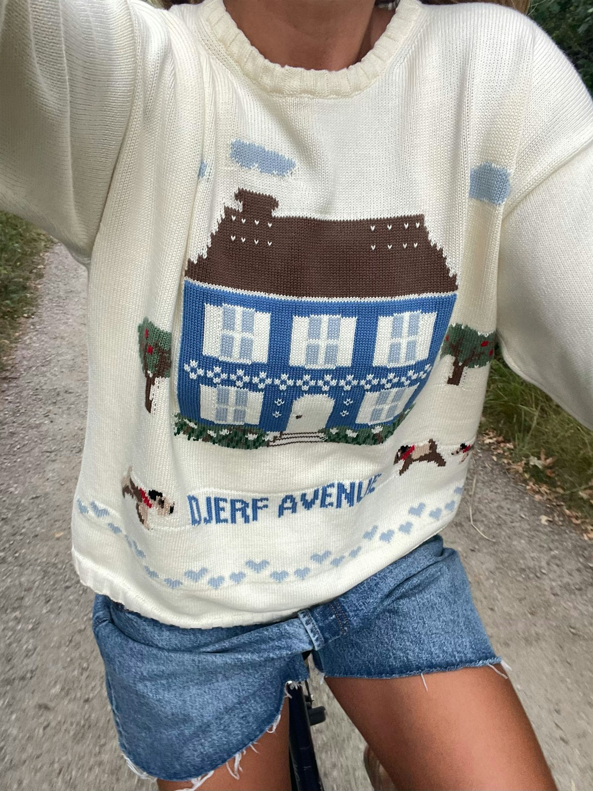 Jacquard Sweater DA House