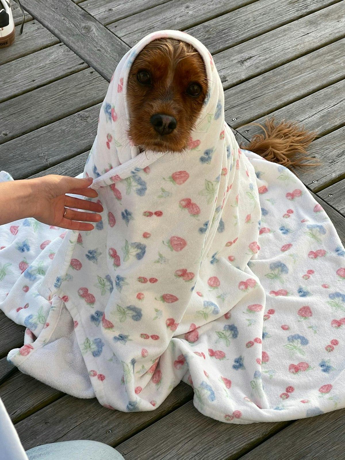 Summer Berries Towel