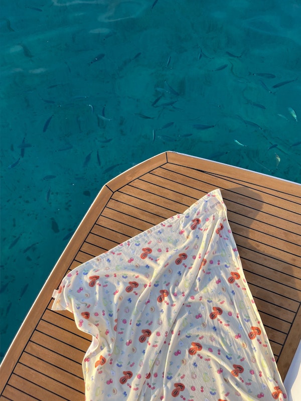Fruit Towel